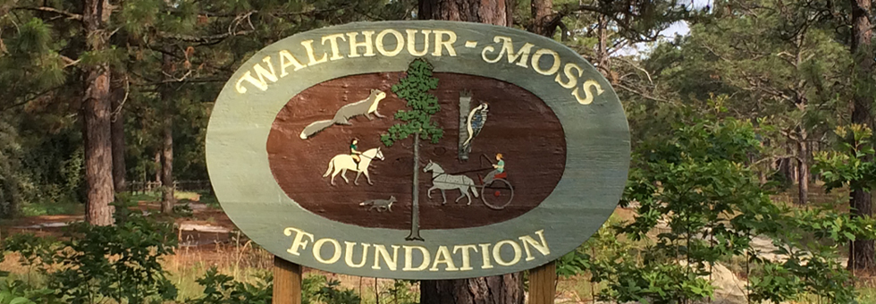 Walthour Moss Foundation